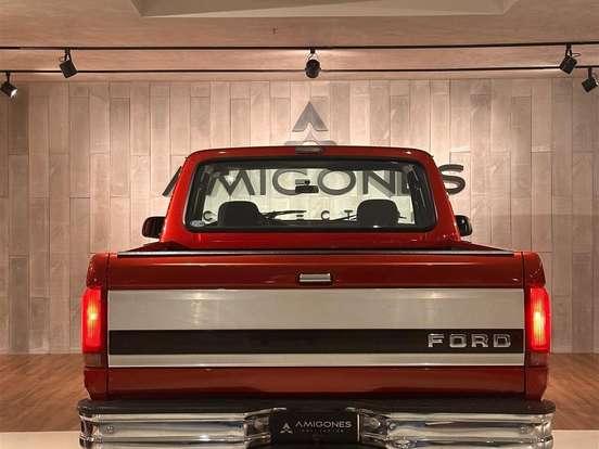 FORD-F-150-5.0 XLT 4X4 V8 16V GASOLINA 2P AUTOMÁTICO FORD-F-150-1993