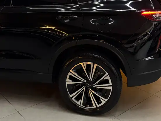 GWM-HAVAL H6-1.5 PHEV19 E-TRACTION GWM-HAVAL H6-2025
