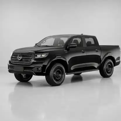 GWM-POER P30-2026