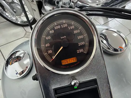 HARLEY-DAVIDSON-FAT BOY FLSTF-2010