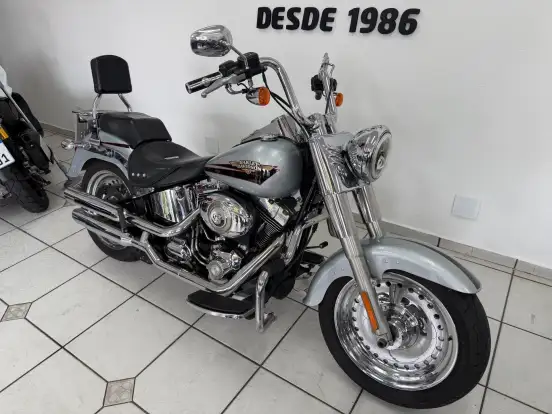 HARLEY-DAVIDSON-FAT BOY FLSTF HARLEY-DAVIDSON-FAT BOY FLSTF-2010