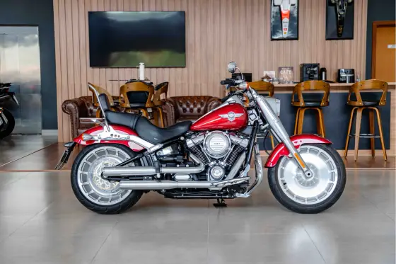 HARLEY-DAVIDSON SOFTAIL FAT BOB 107 