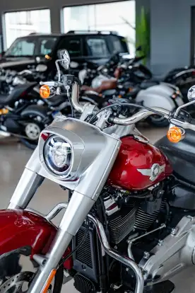 HARLEY-DAVIDSON-SOFTAIL FAT BOB 107-2019