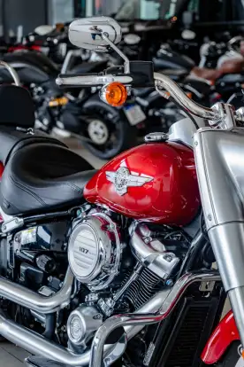 HARLEY-DAVIDSON-SOFTAIL FAT BOB 107-2019