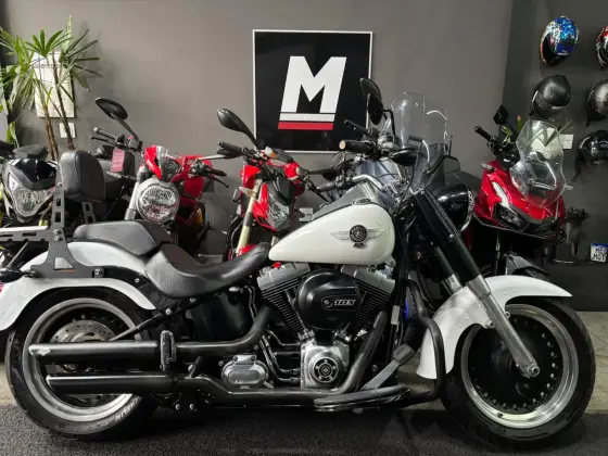 HARLEY-DAVIDSON SOFTAIL FAT BOY 