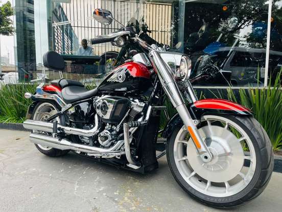 HARLEY-DAVIDSON-SOFTAIL FAT BOY 117-2025