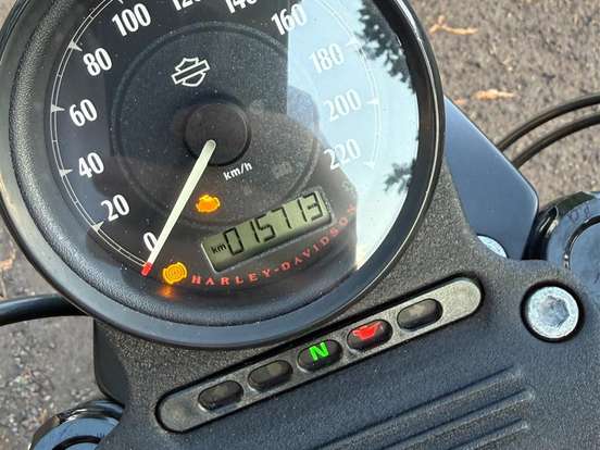 HARLEY-DAVIDSON-SPORTSTER IRON 883 HARLEY-DAVIDSON-SPORTSTER IRON 883-2020