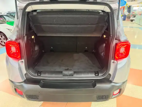 JEEP-RENEGADE-2020
