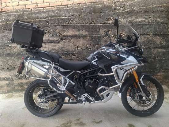 TRIUMPH-TIGER 900 RALLY PRO-2025