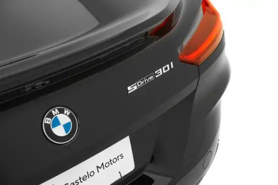 BMW-Z4-2.0 16V TURBO GASOLINA SDRIVE20I AUTOMÁTICO BMW-Z4-2019