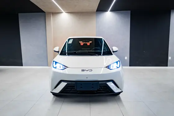 BYD DOLPHIN MINI 38 KW ELÉTRICO GS