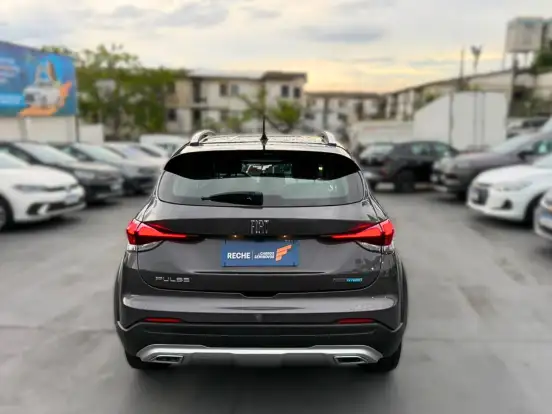 FIAT-PULSE-2025