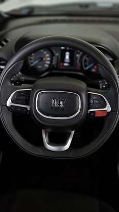 FIAT-PULSE-2025