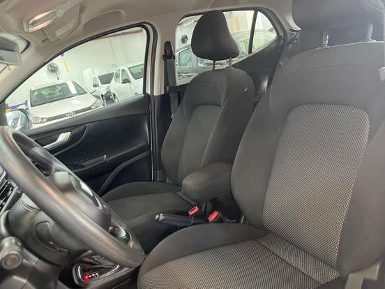 FIAT-PULSE-2024