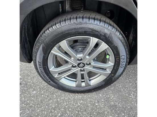 FIAT-PULSE-2024