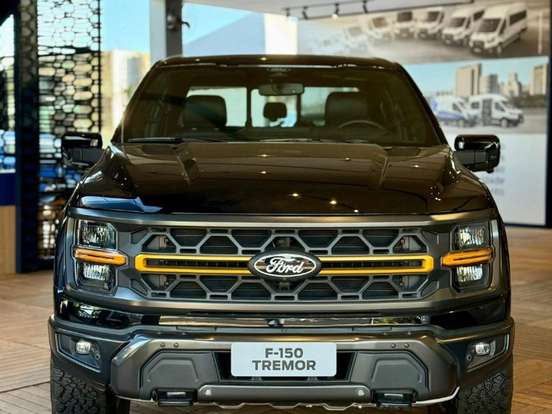FORD-F-150-5.0 V8 GASOLINA CD TREMOR FX4 AUTOMÁTICO FORD-F-150-2025