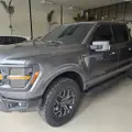 FORD F-150 5.0 V8 GASOLINA CD TREMOR FX4 AUTOMÁTICO FORD F-150 5.0 V8 GASOLINA CD TREMOR FX4 AUTOMÁTICO