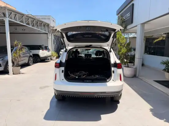 GWM-HAVAL H6-2024