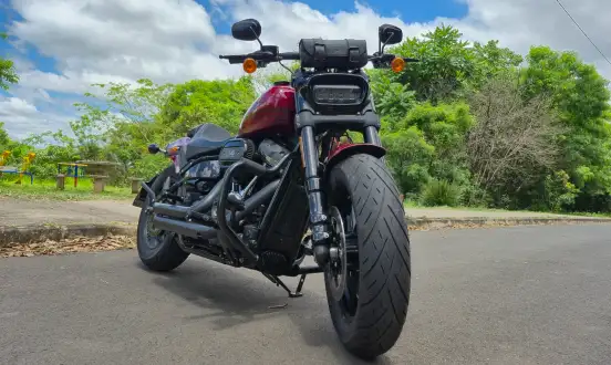HARLEY-DAVIDSON-SOFTAIL FAT BOB 114-2019