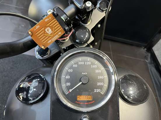 HARLEY-DAVIDSON-SOFTAIL FAT BOY-2016