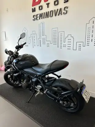 TRIUMPH-TRIDENT 660-2024