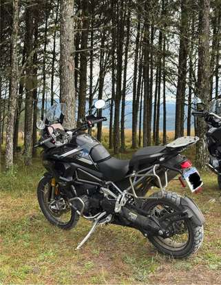 TRIUMPH-TIGER 1200 RALLY PRO TRIUMPH-TIGER 1200 RALLY PRO-2022