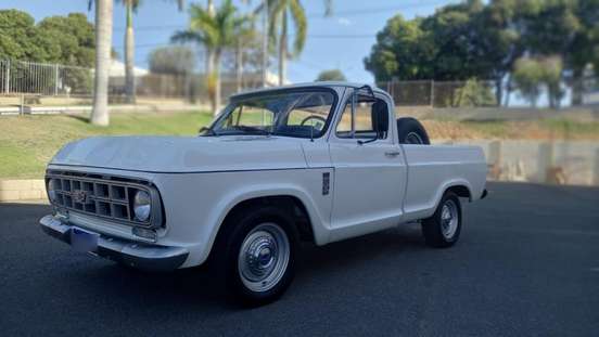 CHEVROLET-D10-1981