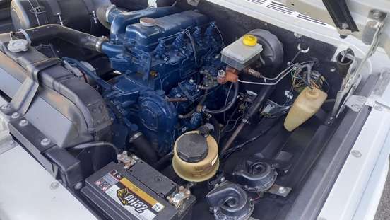 CHEVROLET-D10-1981