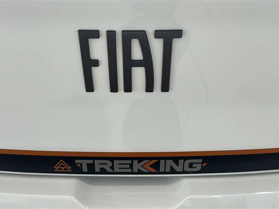 FIAT-ARGO-1.3 FIREFLY FLEX TREKKING MANUAL FIAT-ARGO-2024