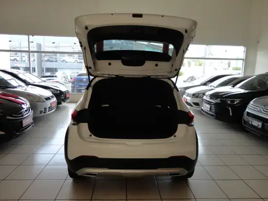 FIAT-PULSE-2024
