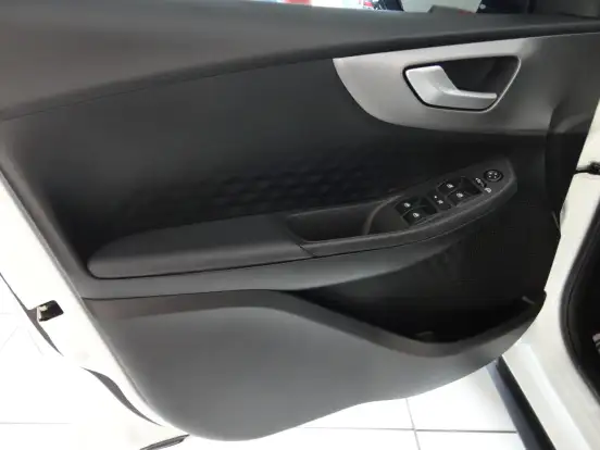 FIAT-PULSE-2024