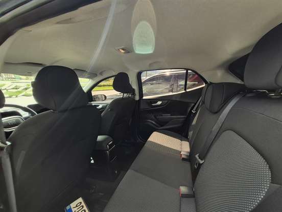 FIAT-PULSE-2021