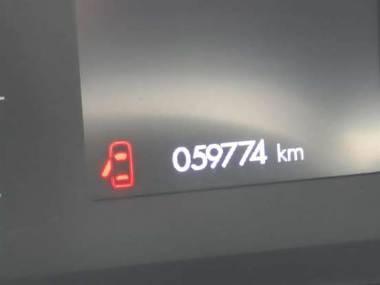 FIAT-PULSE-2021