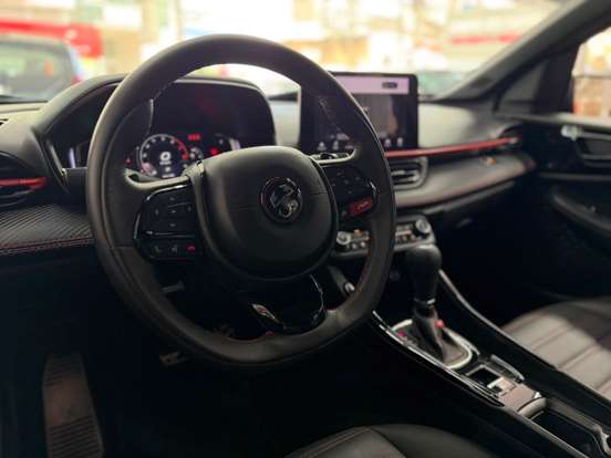 FIAT-PULSE-2024