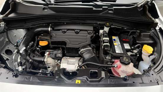 FIAT-PULSE-2024