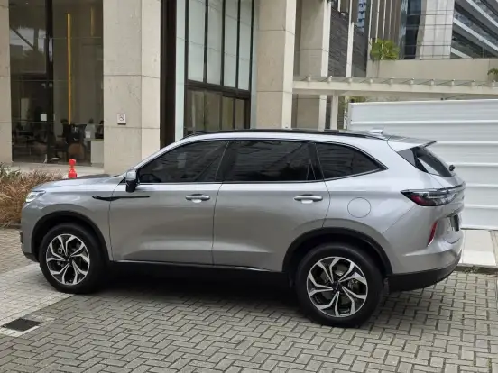GWM-HAVAL H6-1.5 PHEV34 AWD E-TRACTION GWM-HAVAL H6-2025