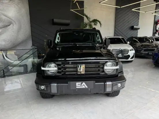 GWM-TANK 300-2025