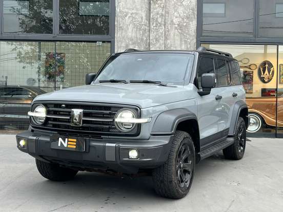 GWM-TANK 300-2025