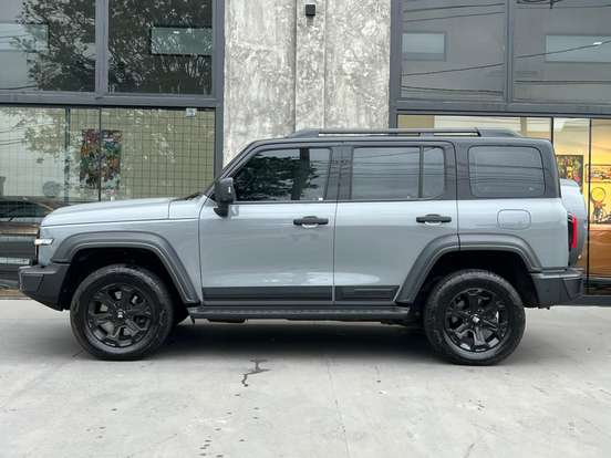 GWM-TANK 300-2025