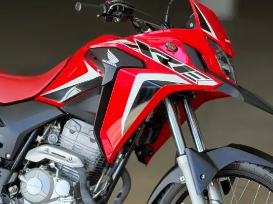 HONDA-XRE 300 RALLY HONDA-XRE 300 RALLY-2023