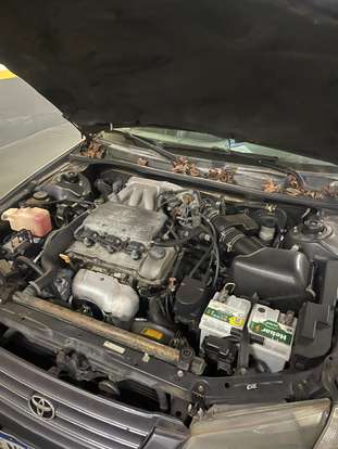 TOYOTA-CAMRY-1996