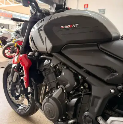 TRIUMPH-TRIDENT 660-2024