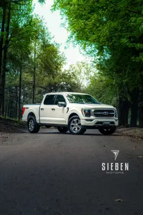 FORD F-150 5.0 V8 GASOLINA CD PLATINUM FX4 AUTOMÁTICO
