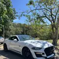 FORD MUSTANG 5.0 V8 TI-VCT GASOLINA BLACK SHADOW SELECTSHIFT FORD MUSTANG 5.0 V8 TI-VCT GASOLINA BLACK SHADOW SELECTSHIFT