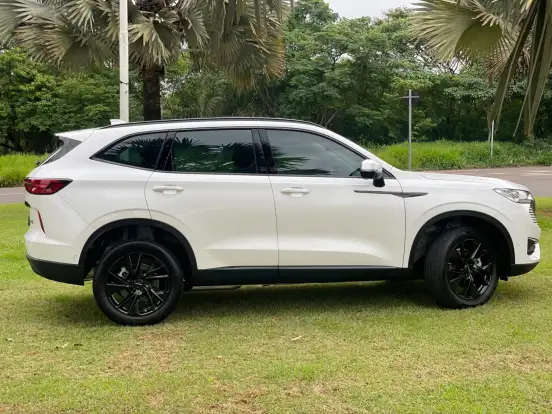 GWM-HAVAL H6-2025