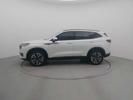 GWM-HAVAL H6-2024