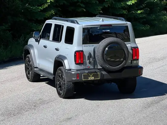 GWM-TANK 300-2025