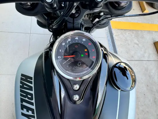 HARLEY-DAVIDSON-SOFTAIL FAT BOB 107-2020