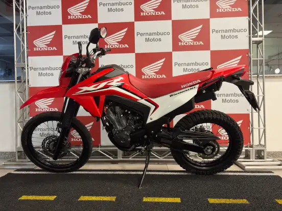HONDA-XR 300L TORNADO HONDA-XR 300L TORNADO-2025