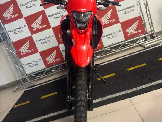 HONDA-XR 300L TORNADO HONDA-XR 300L TORNADO-2025